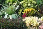 Tangambalangaplanting-garden-and-landscape-design-24.jpg; ?>