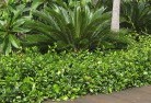 Tangambalangaplanting-garden-and-landscape-design-45.jpg; ?>